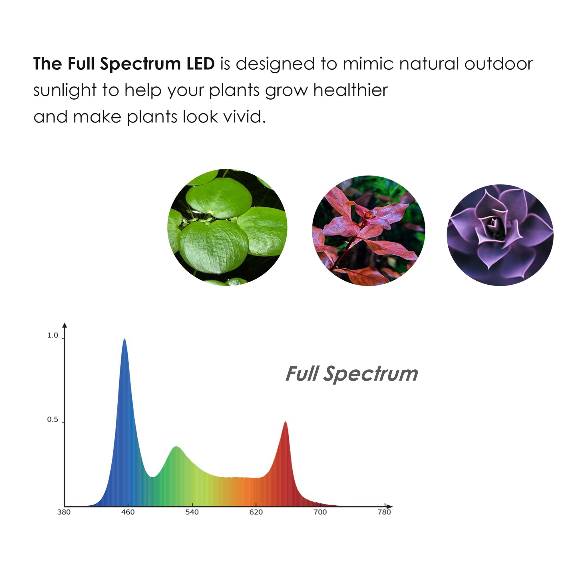 HIRO Aquatics 2 in 1 Full Spectrum Clip-On Aquarium Plant Light, Freestanding Freshwater Aquarium LED Light, 5Watts