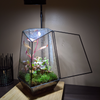 Indoor Plant Geometric Glass Vessel Container for Succulent Moss Plant Terrarium, 11 inch High