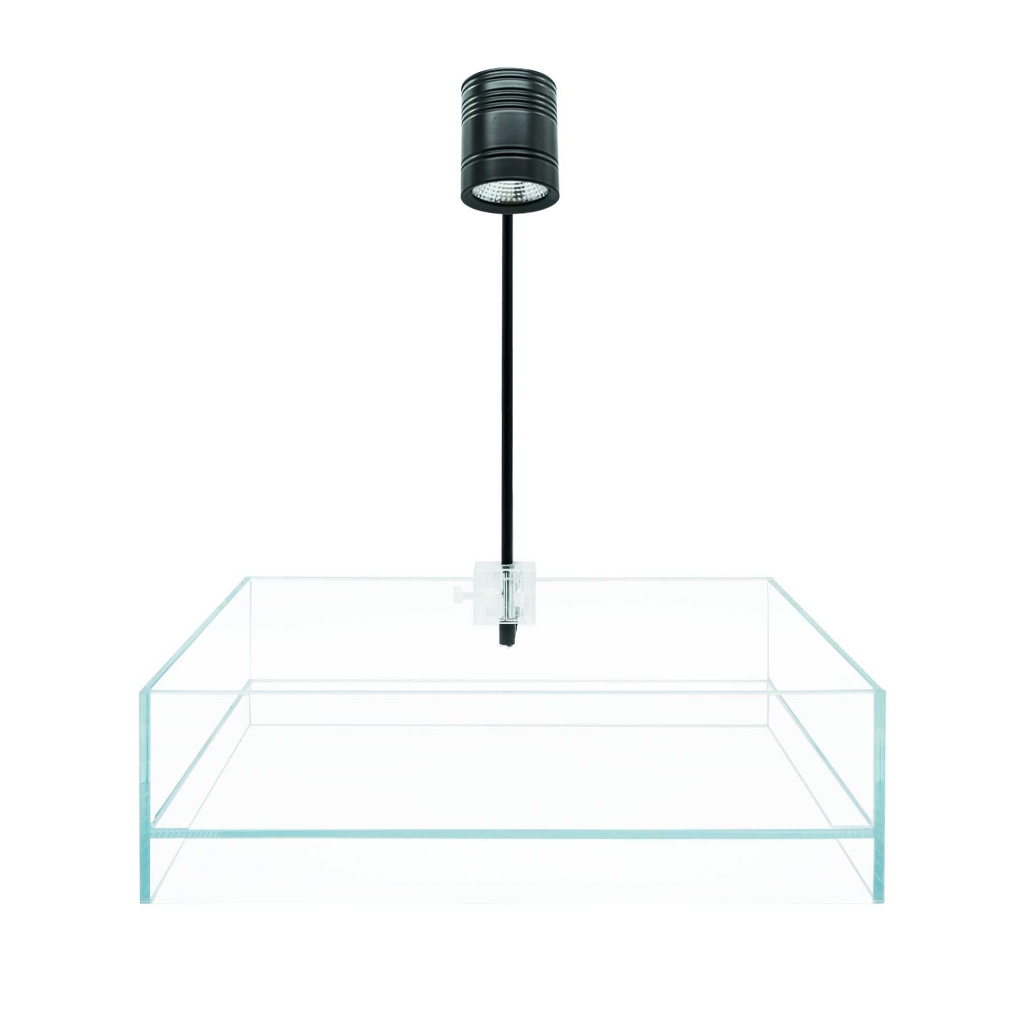 HIRO Aquatics Medium Shallow Rimless Tank, low-iron glass, for Wabikusa, Little Pond, Nano Terrarium
