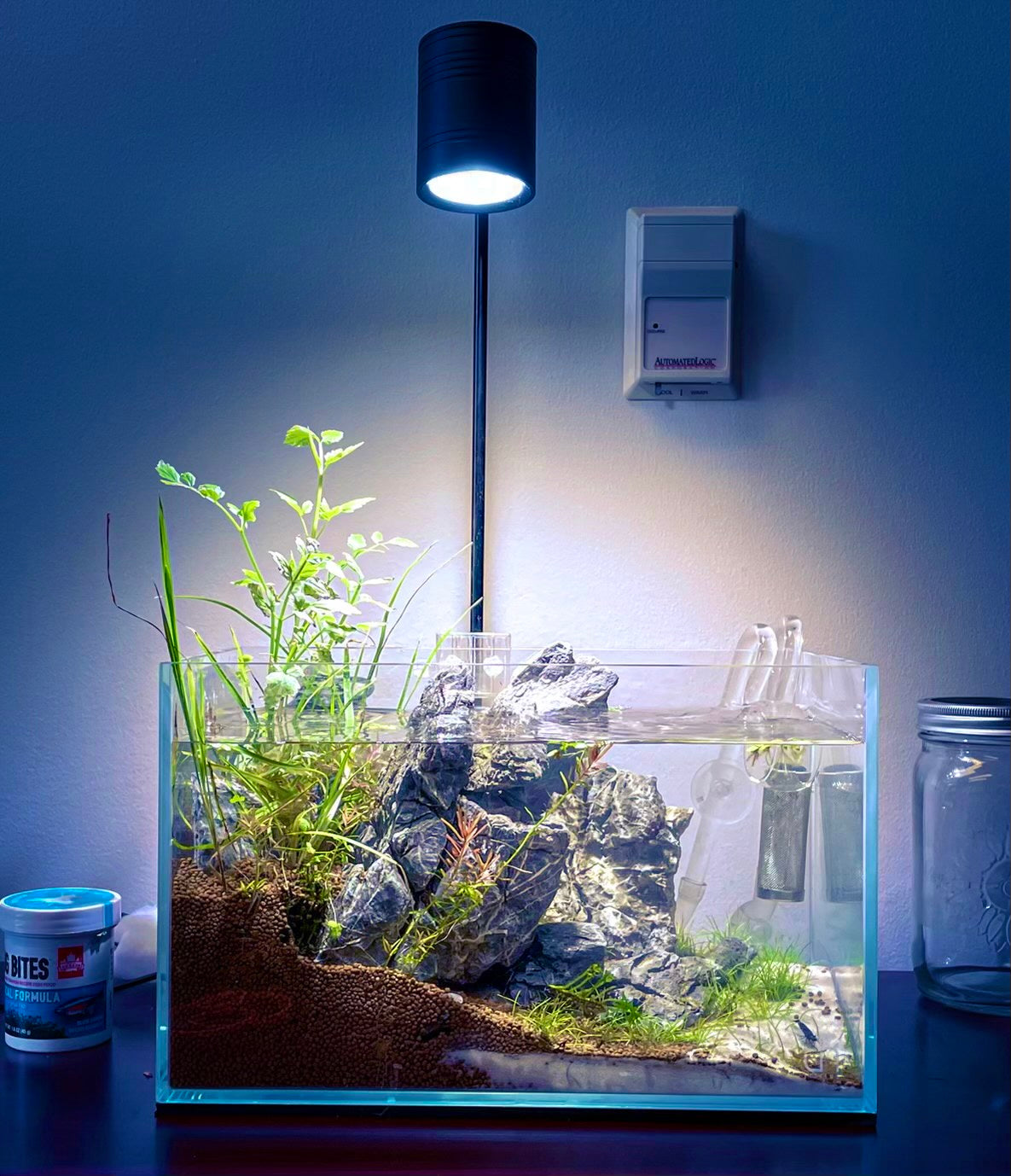 Full Spectrum COB LED Spotlight, for Nano tank, Wabikusa, Terrariums, Paludariums