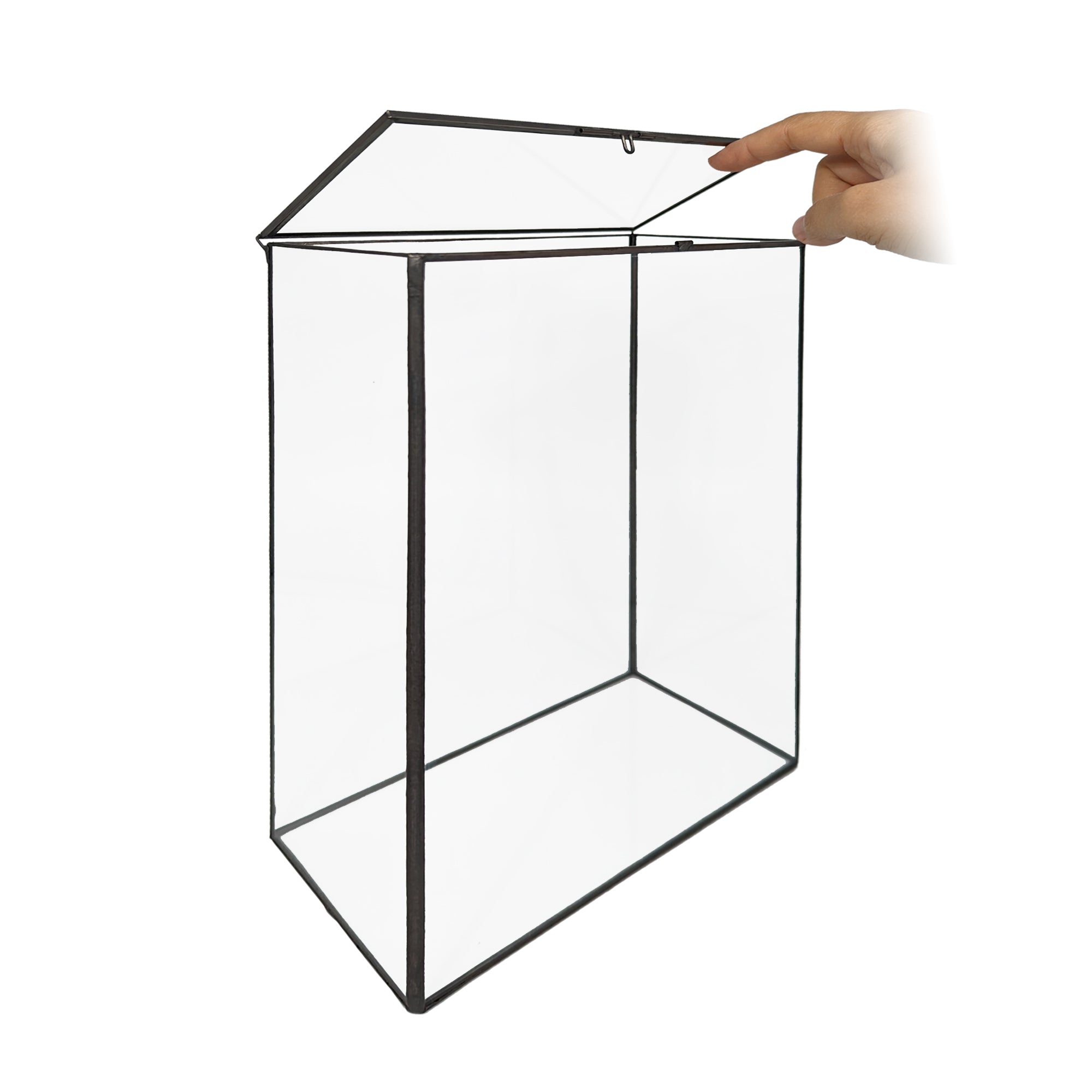 Bookshelf Plant Geometric Glass Vessel Container for Succulent Moss Plant Terrarium, 11 inch High