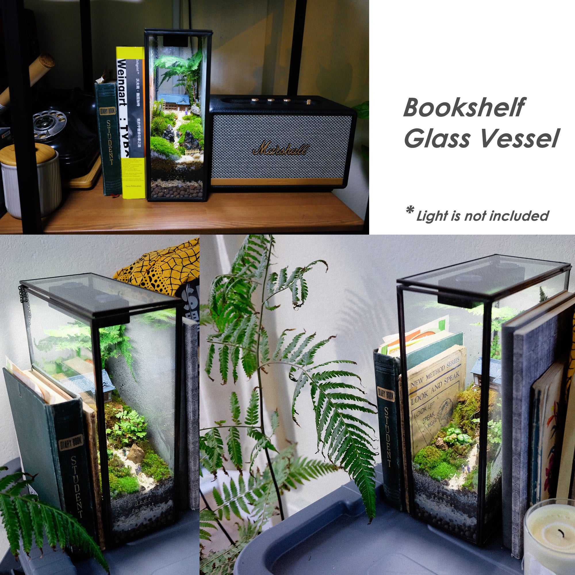 Bookshelf Plant Geometric Glass Vessel Container for Succulent Moss Plant Terrarium, 11 inch High