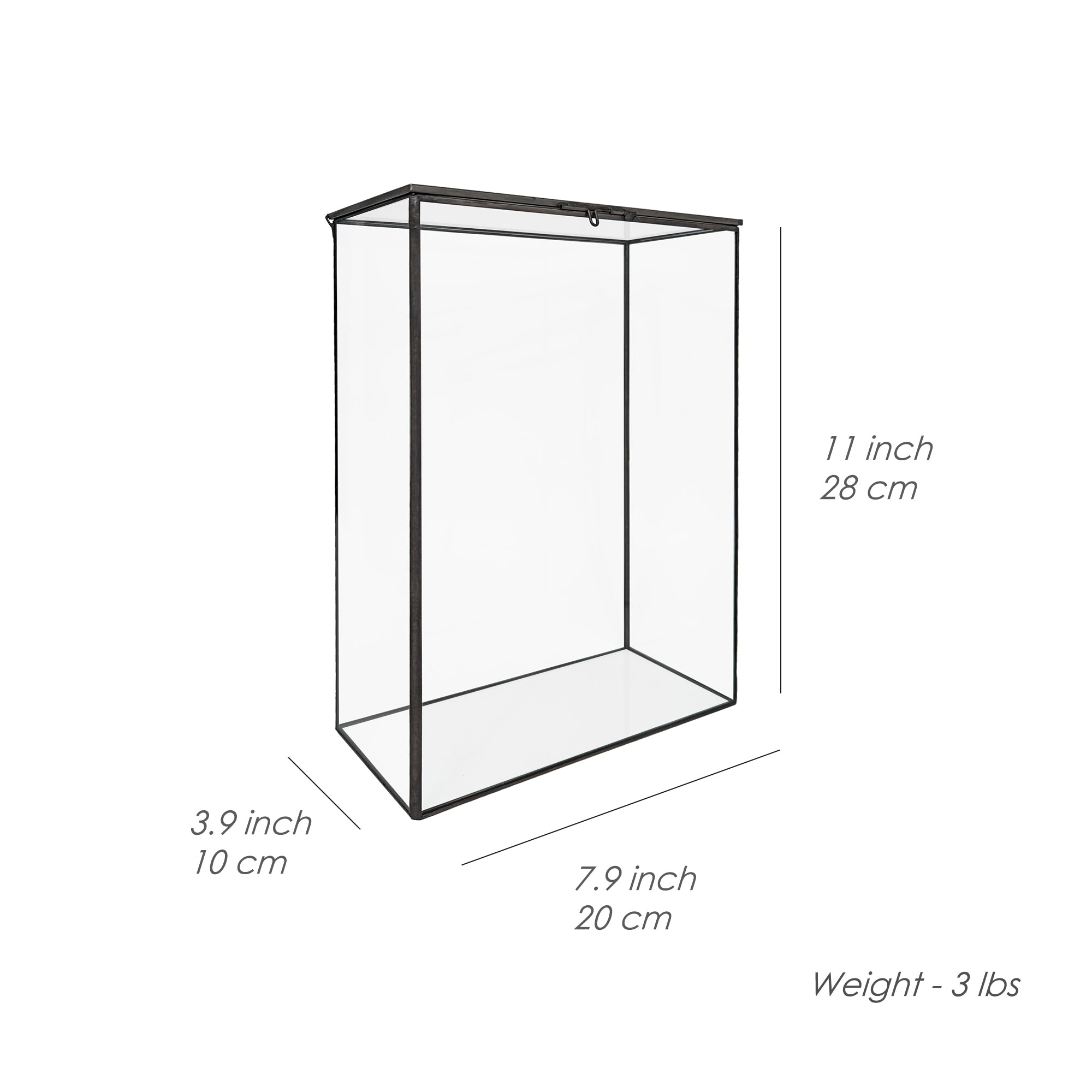 Bookshelf Plant Geometric Glass Vessel Container for Succulent Moss Plant Terrarium, 11 inch High