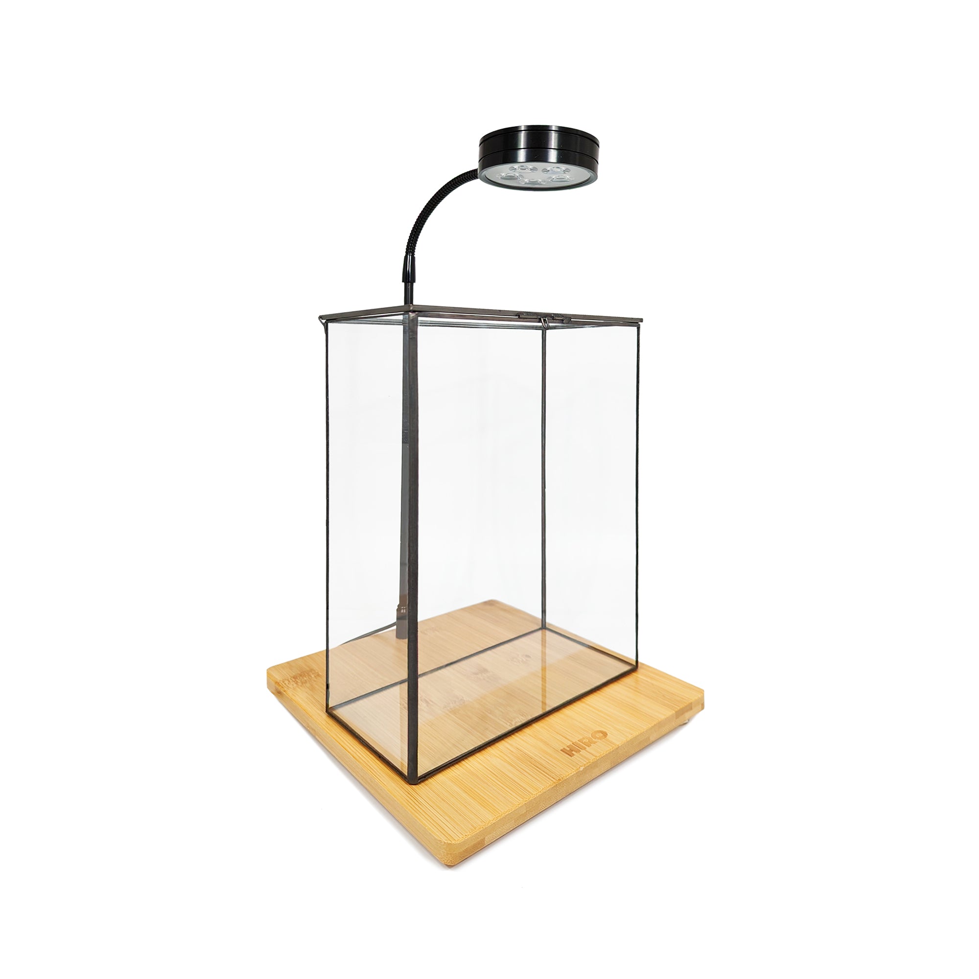 New Arrival – HIRO Aquatics