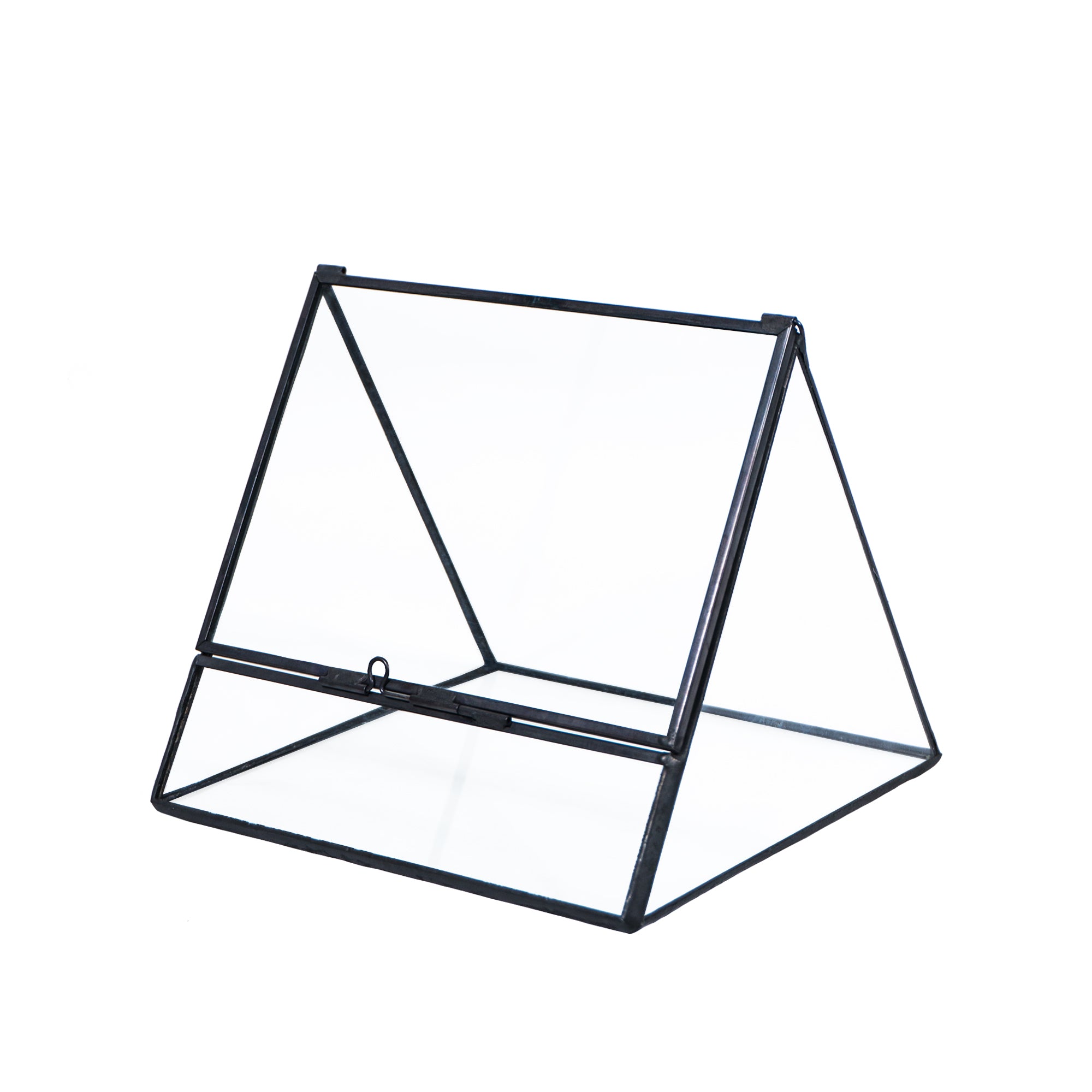 Triangular Indoor Plant GeometricGlass Vessel Container for Succulent Moss Plant Terrarium, 5.1 inch High