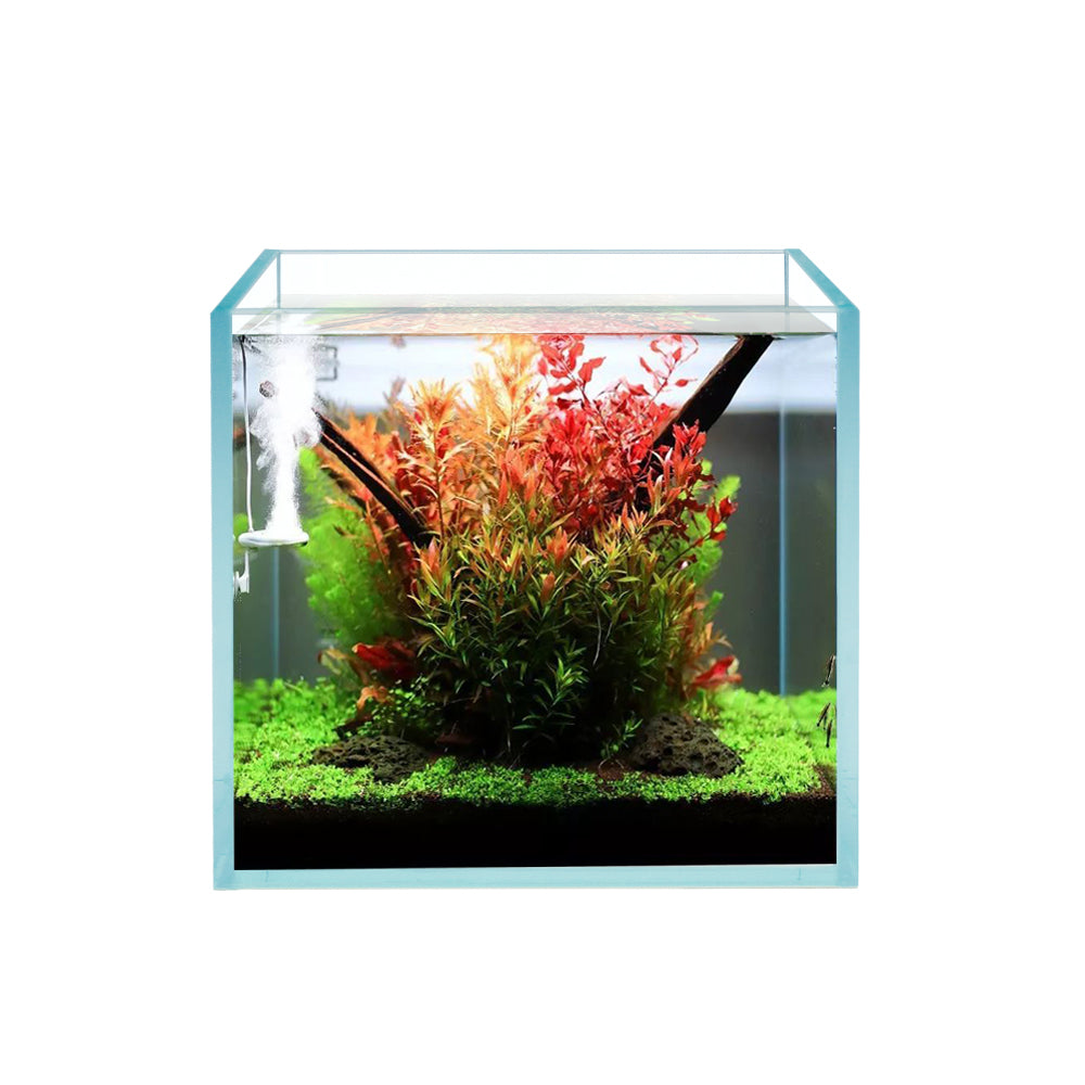 Cube Tank 7 Gallon Cube Rimless Frameless All Glass Aquarium, Low Iron Rimless G ...