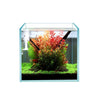 2 Gallon Cube Rimless Frameless All Glass Aquarium, Low iron Rimless Glass Tank, 20X20X20cm, 5mm Glass