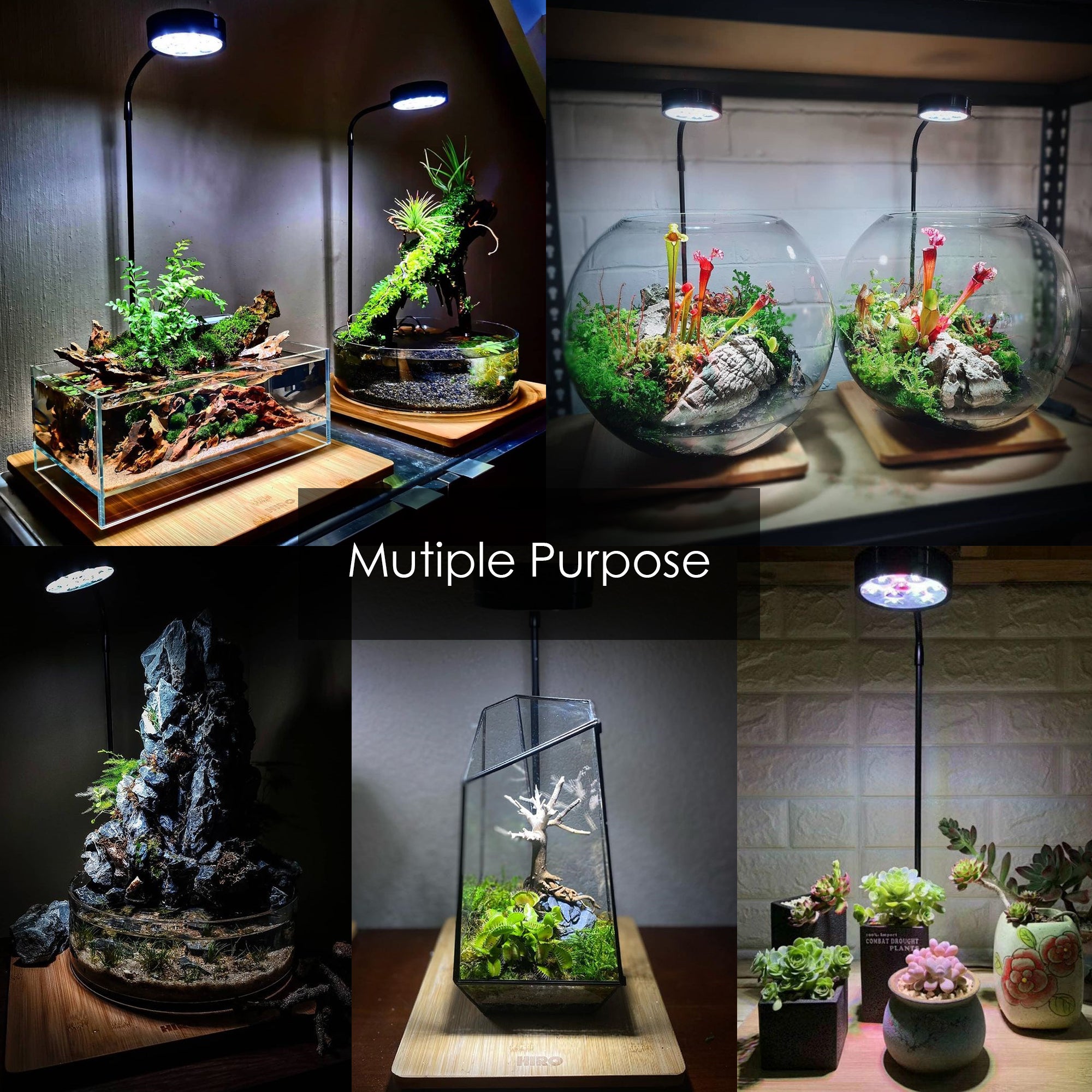 Led Terrarium 