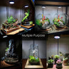 Full Spectrum LED Light, fits Aquarium Nano Tank, Wabi Kusa, Potted Plants, Terrariums & Paludariums
