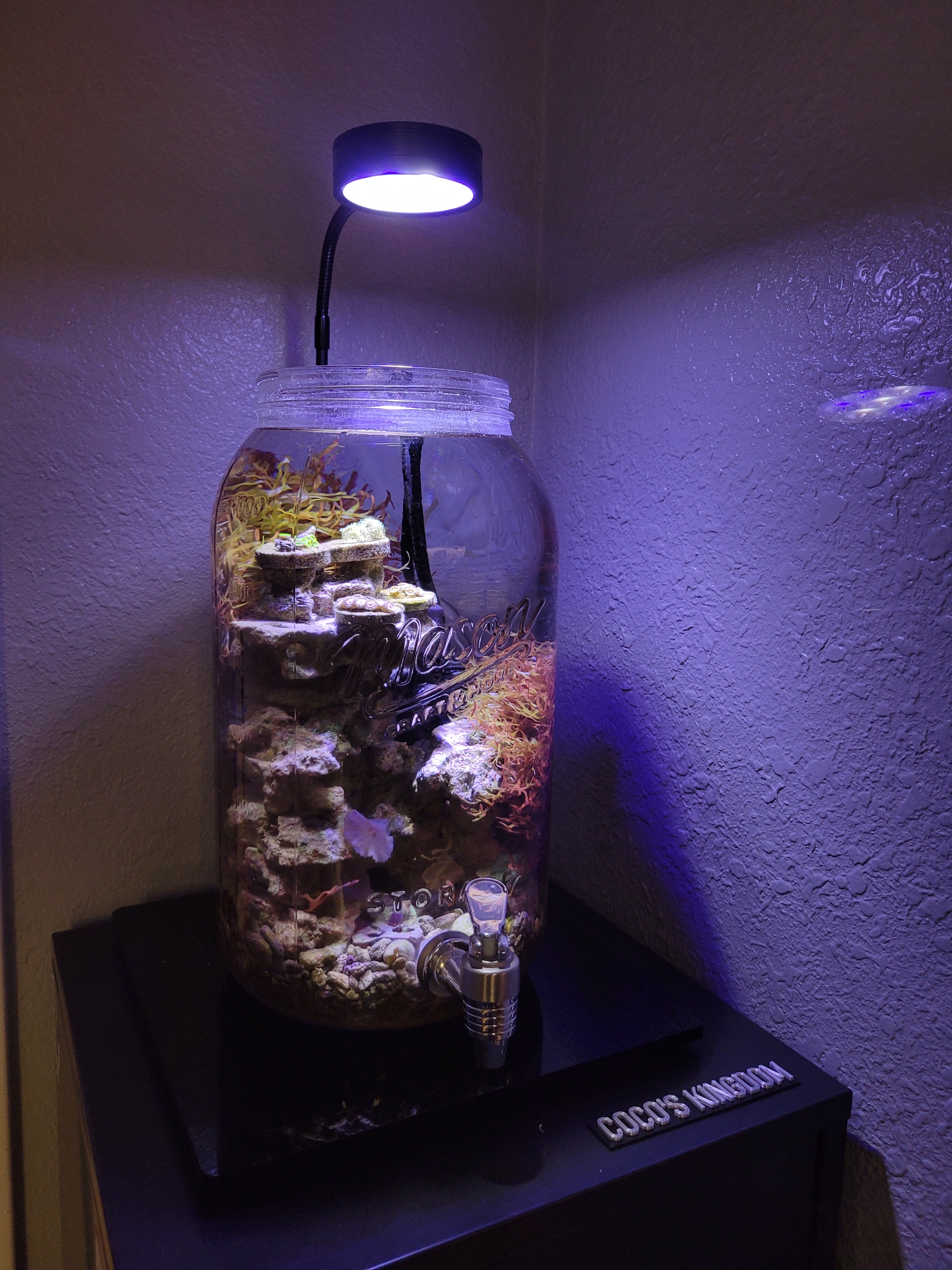 HIRO Aquatics Nano Reef Aquarium LED Light, Dimmable Full Spectrum Marine LED For Saltwater Coral Fish Tanks, 7W/12W