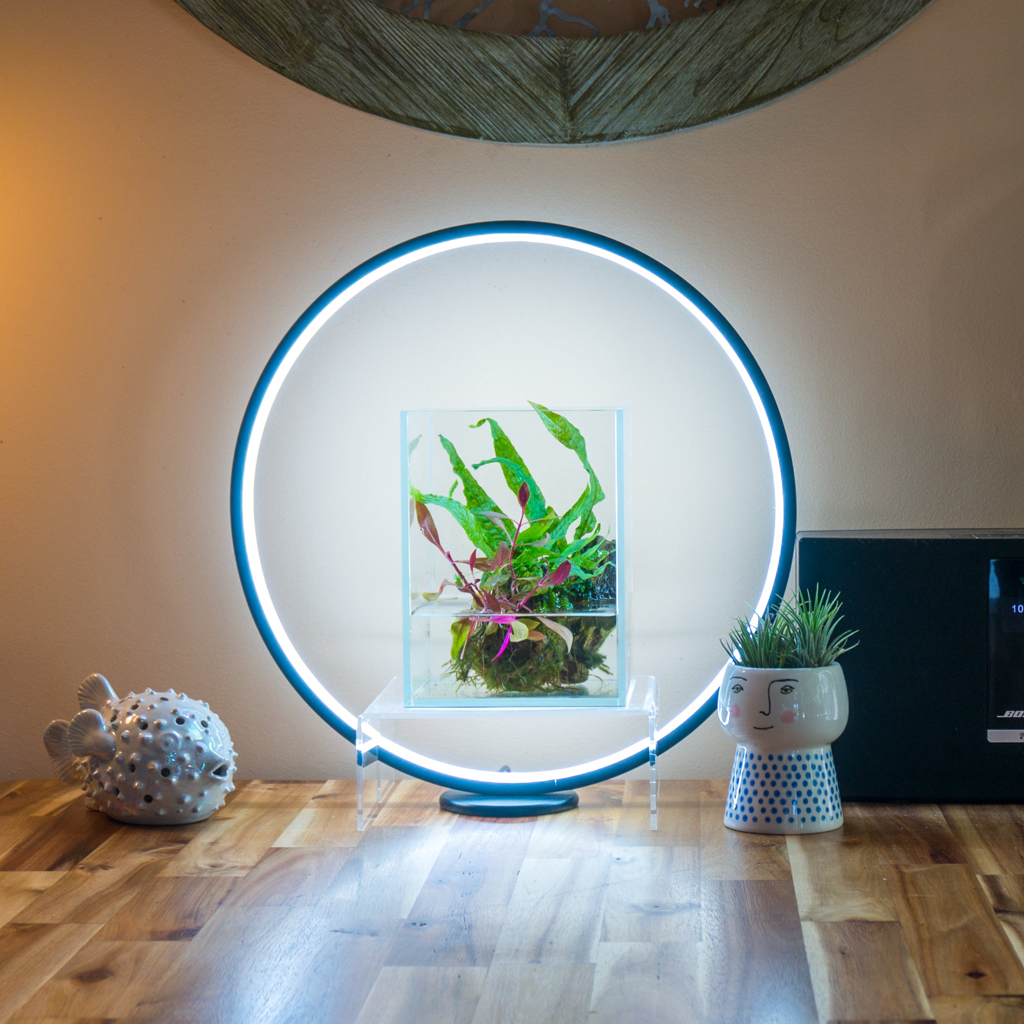 Circle Full Spectrum Plant Grow Light w/ Display Stand, for Nano Aquarium, Bonsai, Potted Plants