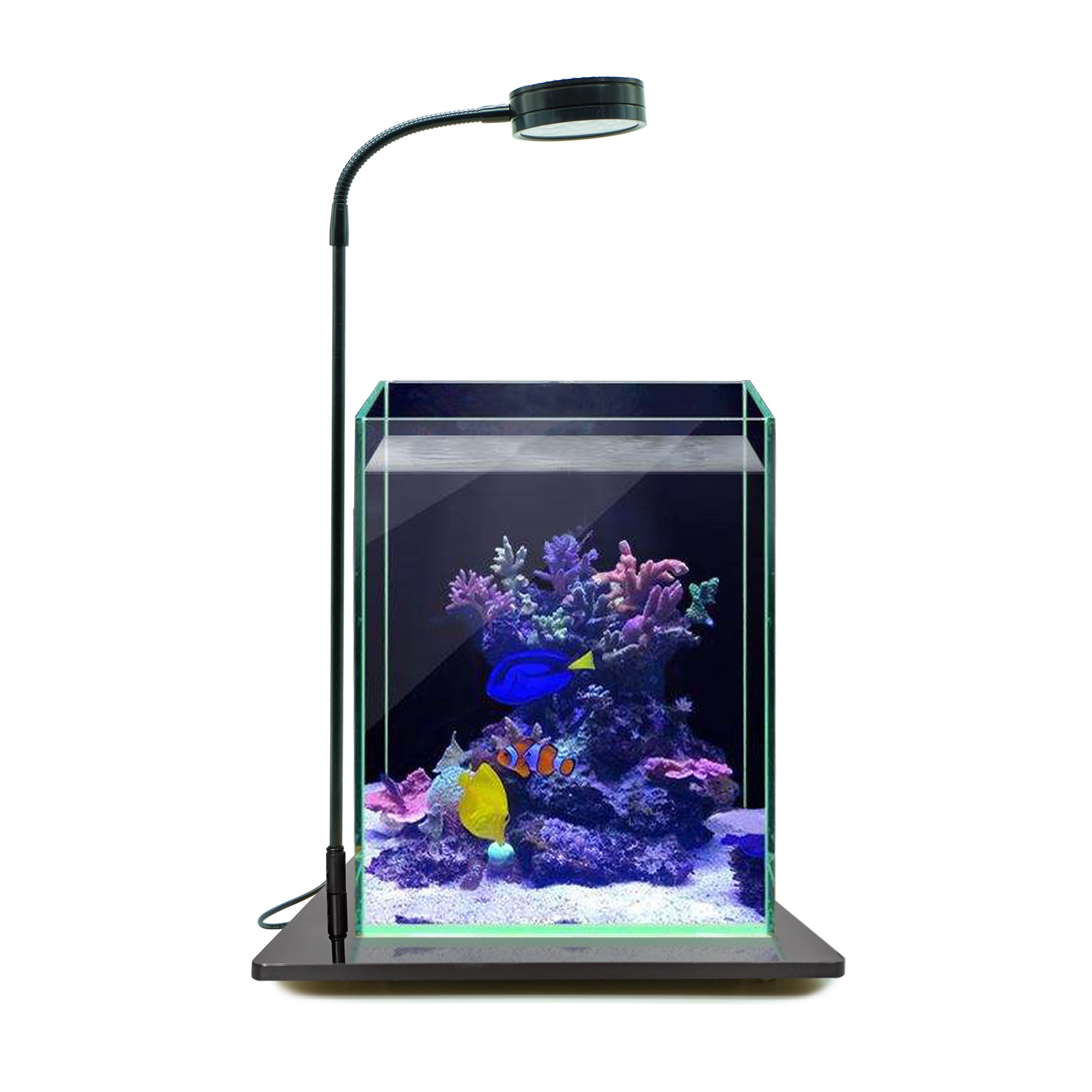 HIRO Aquatics Nano Reef Aquarium LED Light, Dimmable Full Spectrum Marine LED For Saltwater Coral Fish Tanks, 7W/12W