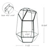 Indoor Plant Geometric Glass Vessel Container for Succulent Moss Plant Terrarium, 10.75 inch High