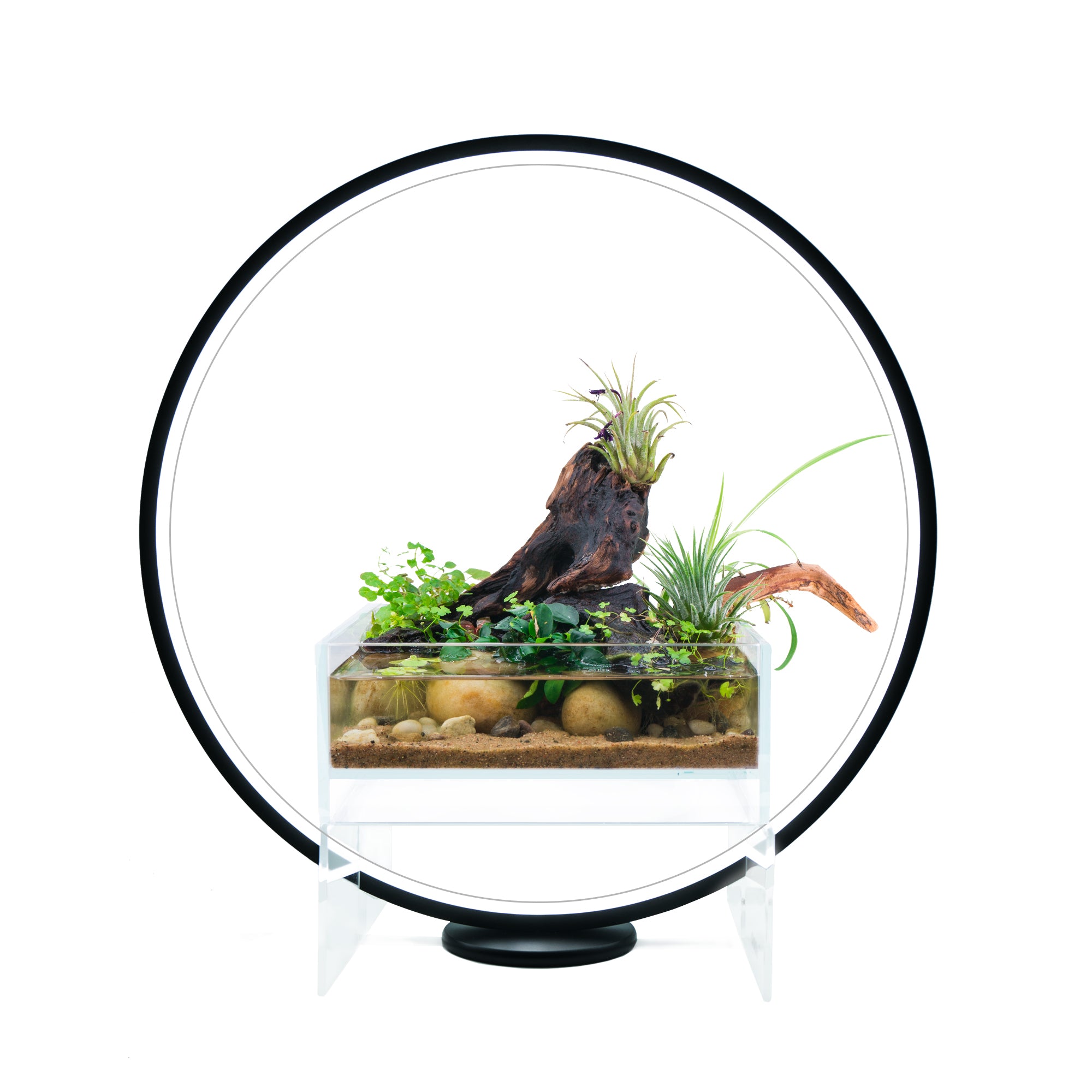 Circle Full Spectrum Plant Grow Light w/ Display Stand, for Nano Aquarium, Bonsai, Potted Plants