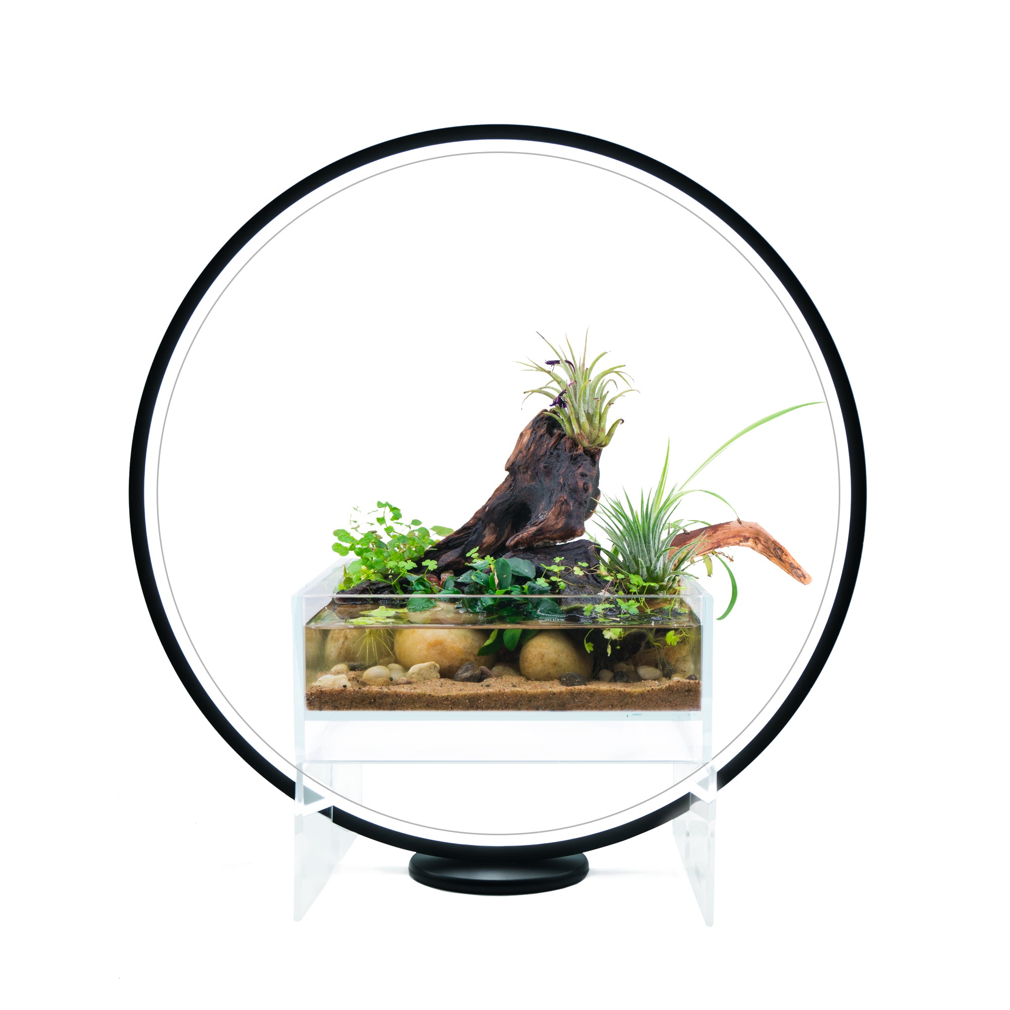 plant light for terrarium Circle Full Spectrum Plant Grow Light w/ Display Stand, for Nano Aquarium, Bonsai, Potted Plants 15.8 inch Diameter Circle LED w/ Mini Nano Shallow