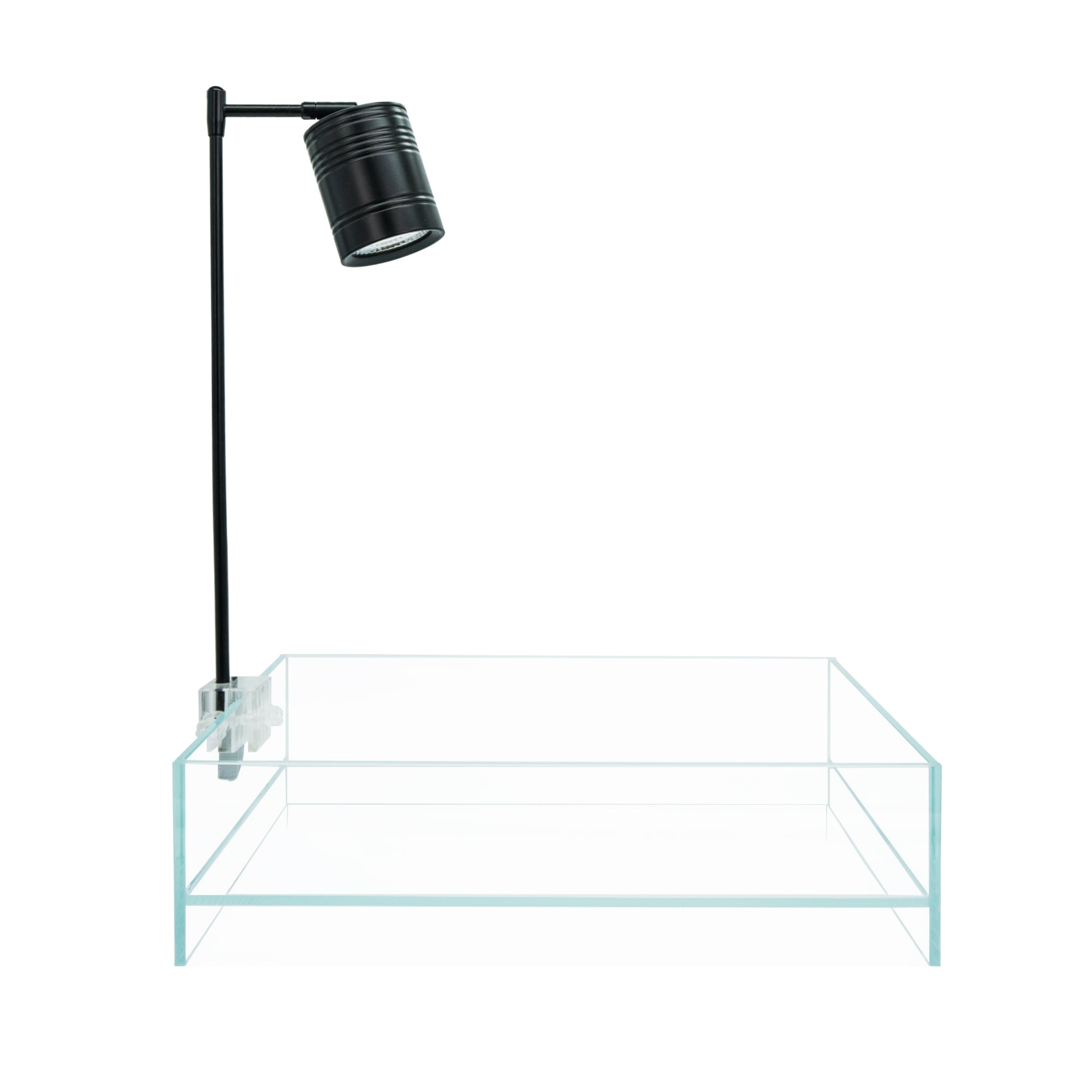 HIRO Aquatics Medium Shallow Rimless Tank, low-iron glass, for Wabikusa, Little Pond, Nano Terrarium