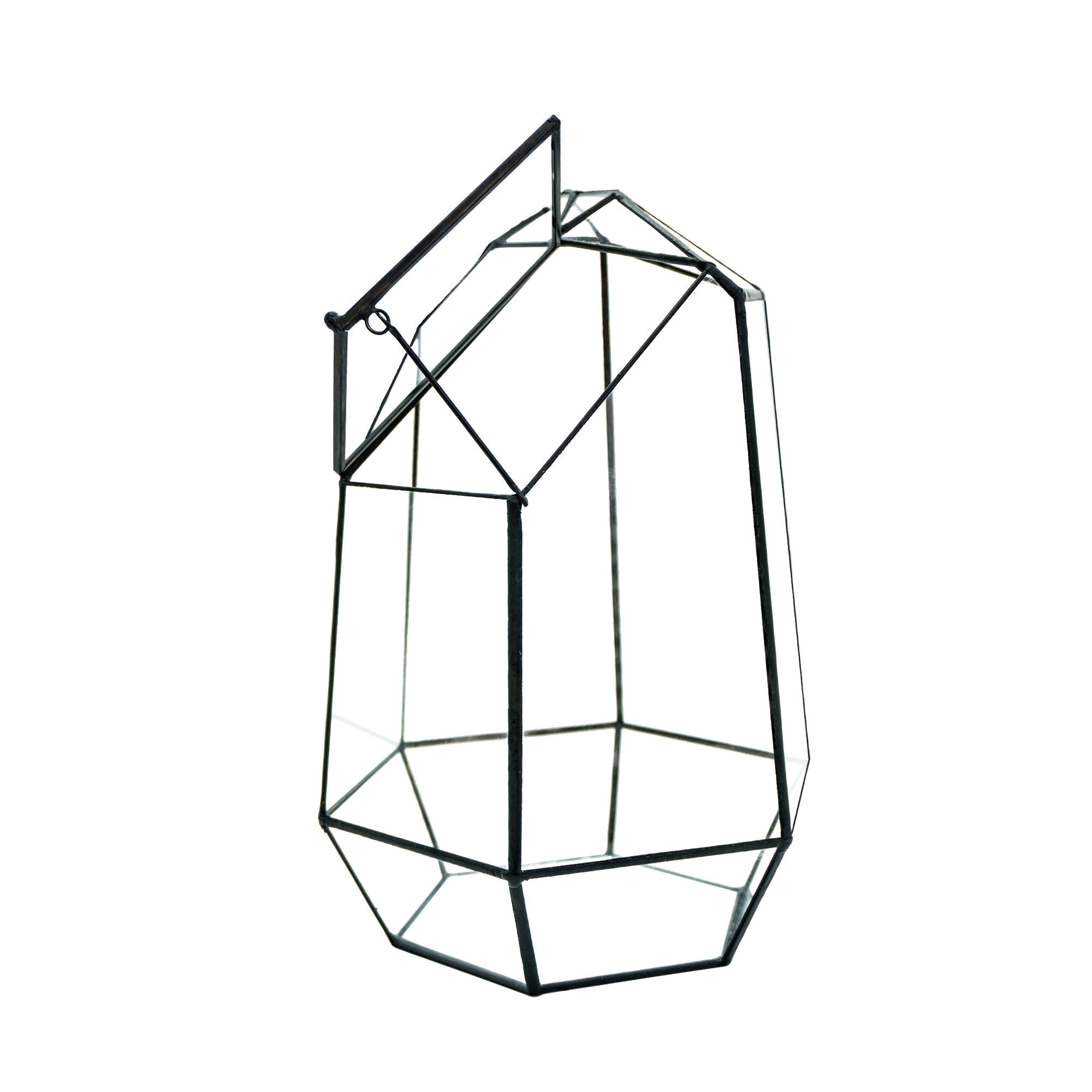 Indoor Plant Geometric Glass Vessel Container for Succulent Moss Plant Terrarium, 10.75 inch High