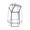 Indoor Plant Geometric Glass Vessel Container for Succulent Moss Plant Terrarium, 10.75 inch High
