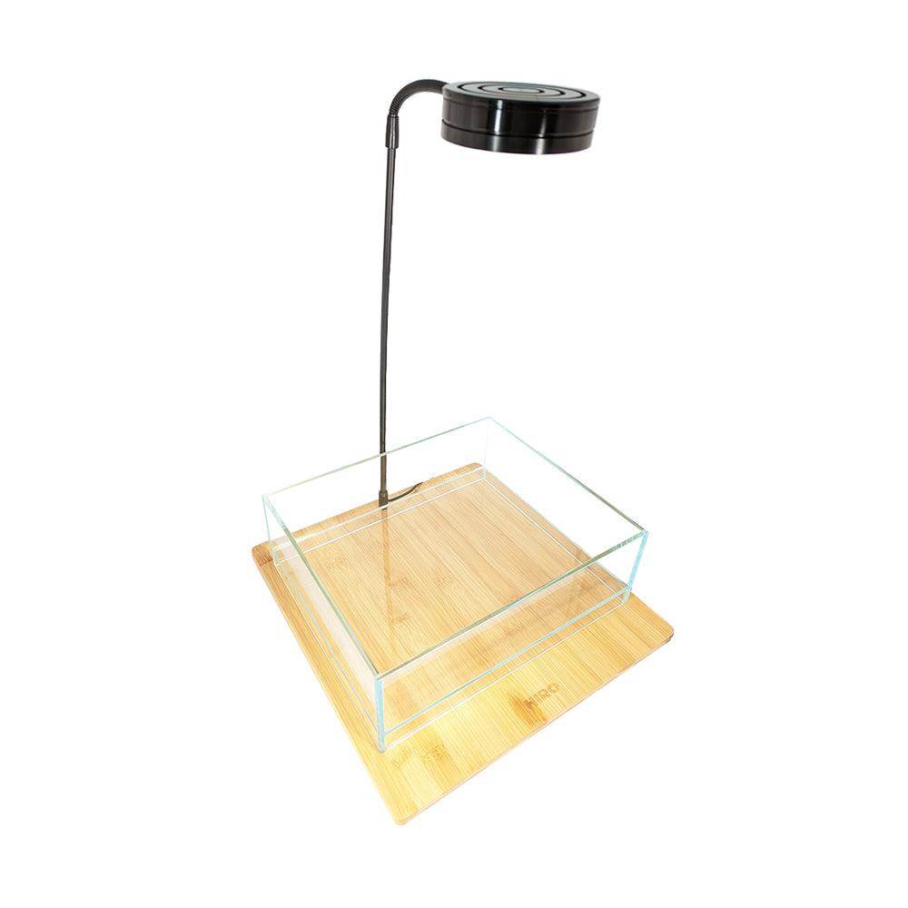 HIRO Aquatics Nano Shallow Rimless Tank, Two Size Options, for Wabikusa, Little Pond, Terra base & Nano Terrarium