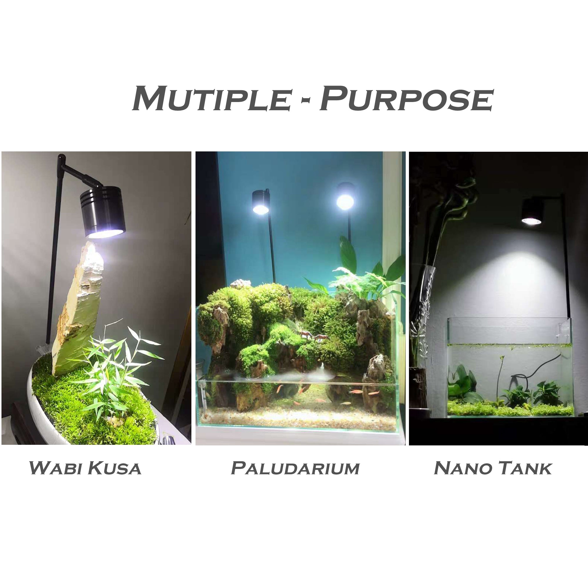 Full Spectrum COB LED Spotlight, for Nano tank, Wabikusa, Terrariums, Paludariums