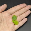 13 stems, 3 species live aquarium plants. Red Ludwigia+Water Sprite+Mini frogbit