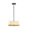 HIRO Aquatics Nano Shallow Rimless Tank, Two Size Options, for Wabikusa, Little Pond, Terra base & Nano Terrarium