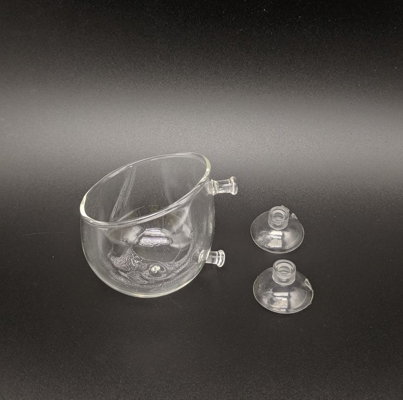 Crystal Glass Aquatic Cup Pot for Fish Tank Aquarium