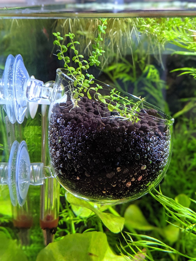 glass plant pot aquarium Crystal Glass Aquatic Cup Pot for Fish Tank Aquarium