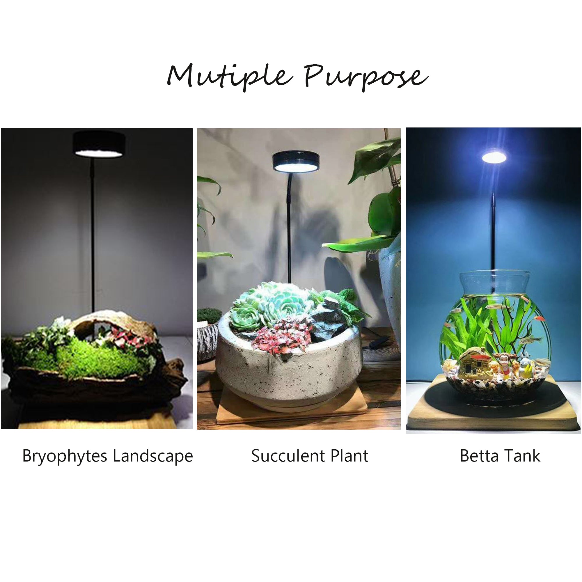 Full Spectrum LED Light, fits Aquarium Nano Tank, Wabi Kusa, Potted Plants, Terrariums & Paludariums