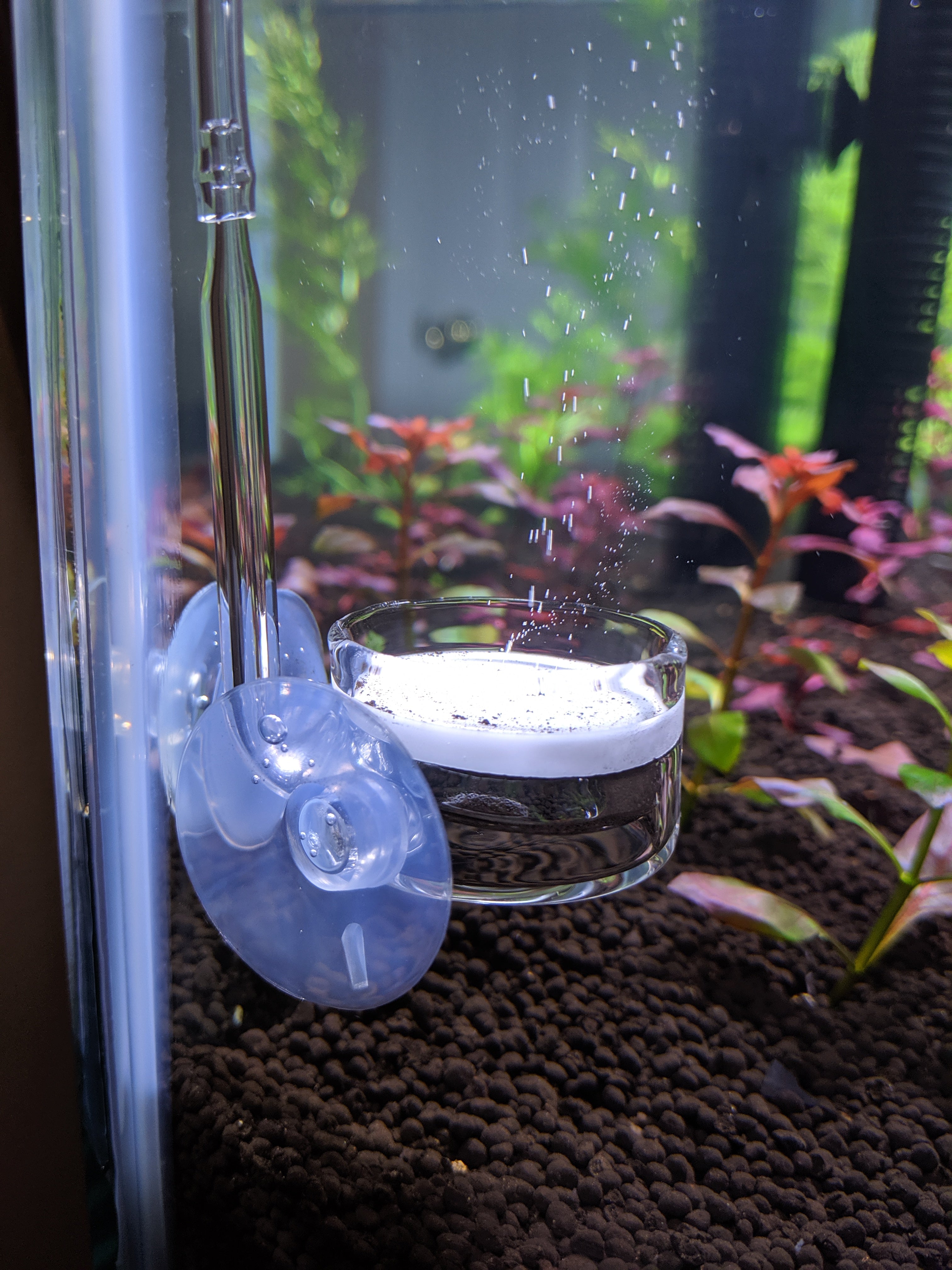 Glass CO2 Diffuser for Aquarium Planted Tanks, Big and Small
