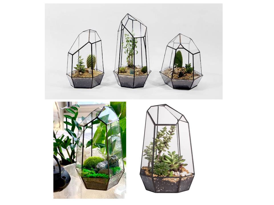large glass plant terrarium Large Indoor Plant Geometric Glass Vessel Container for Succulent Moss Plant Terrarium, 16 inch High X 10.5 inch Wide Glass Container Only