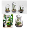Indoor Plant Geometric High Glass Vessel Container for Succulent Moss Plant Terrarium, 15.75 inch High