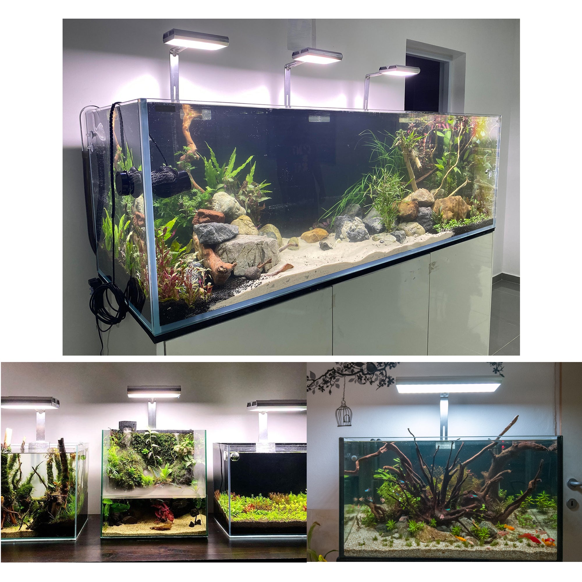 hanging lights for planted aquarium S series WRGB Full Spectrum Planted Aquarium Light with Built-in Timer