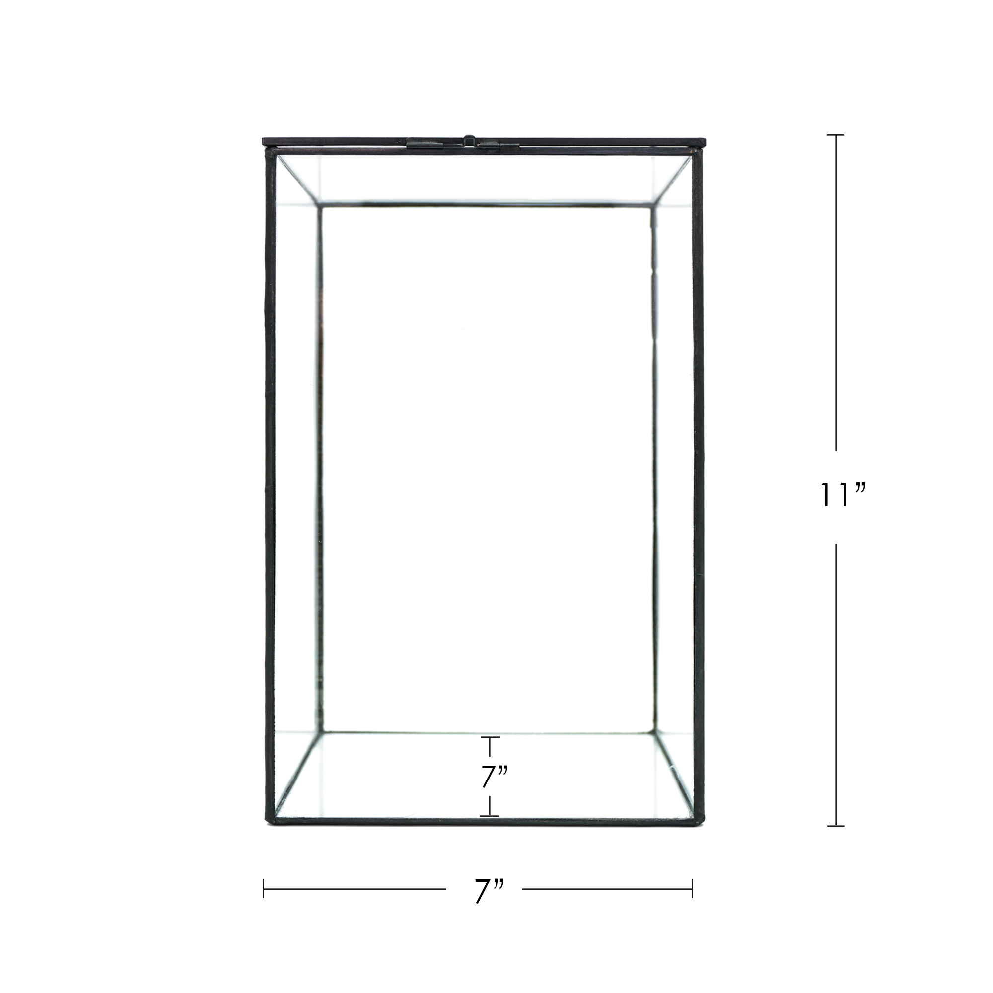 Indoor Plant / Little Forest Glass Vessel Container for Succulent Moss Plant Terrarium