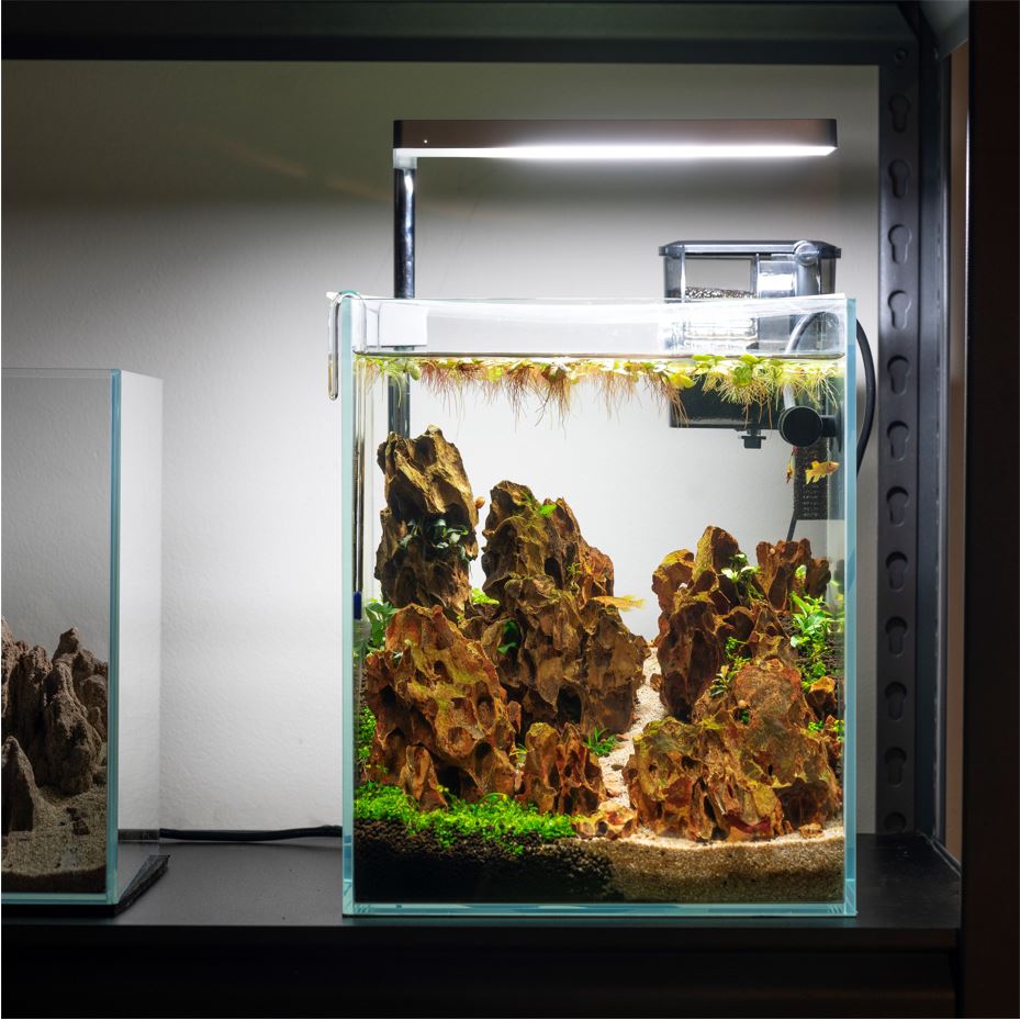 5 Gallon Tall Rimless Frameless All Glass Aquarium, Low Iron Riml – HIRO Aquatics